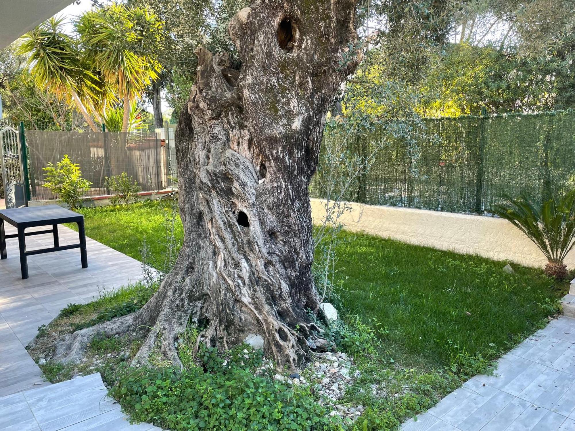Joli Rez De Jardin 4 Pieces A Cagnes Sur Mer מראה חיצוני תמונה